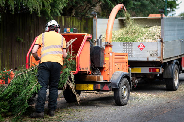 Best Tree Pruning Services  in Stockton, UT